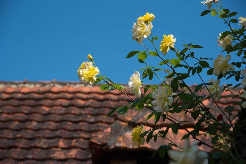 La Ferme Du Coustal Villa Vialot Екстериор снимка
